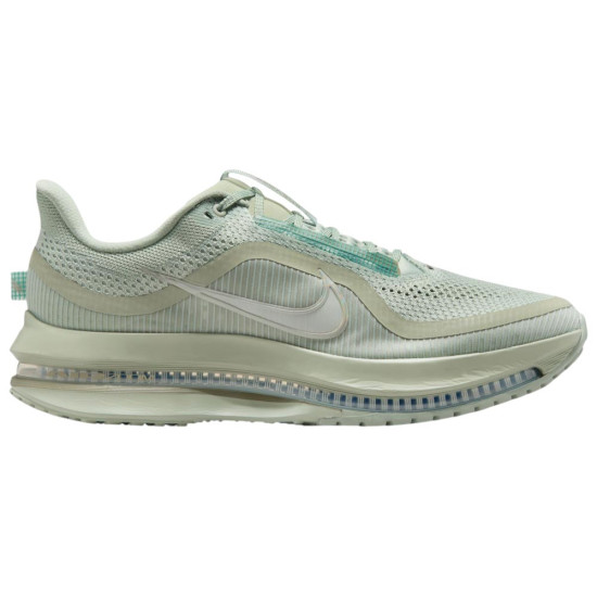 Nike Pegasus Premium Nike Pegasus Premium